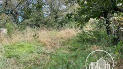 House in Pradilla de Hoz de Arreba photo 22