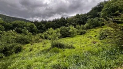 Rustic Finca in Latasa photo 10
