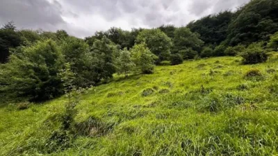 Rustic Finca in Latasa photo 3