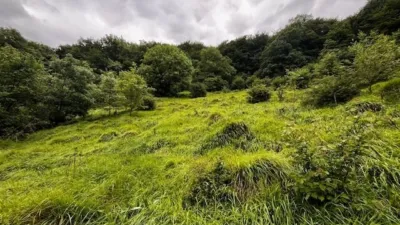 Rustic Finca in Latasa photo 4