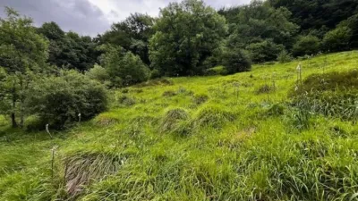 Rustic Finca in Latasa photo 6