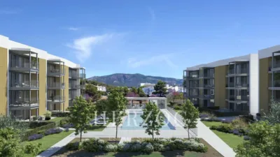 Apartment in Palmanova-Son Caliu photo 13