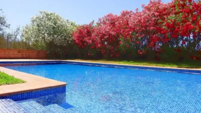 Rustic Finca in Felanitx photo 8