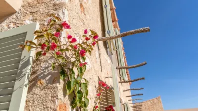 Rustic Finca in Calonge photo 18