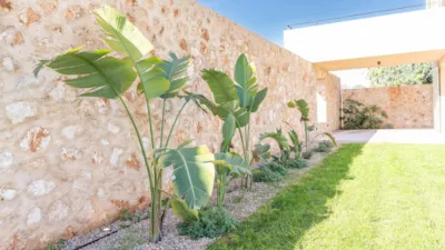 Rustic Finca in Calonge photo 19