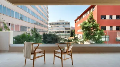 Apartment in Palma de Mallorca photo 3