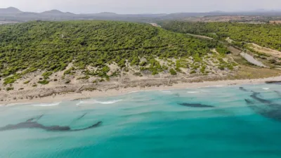 Chalet in Son Serra de Marina photo 8