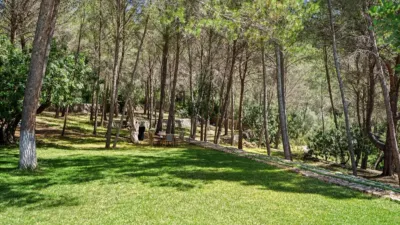 Rustic finca in Es Camp Redó photo 37