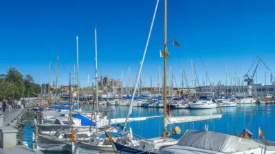 Apartment in Pere Garau photo 15