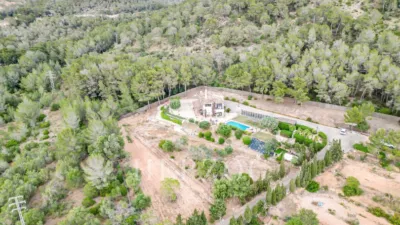 Rustic Finca in Calvià Vila photo 3