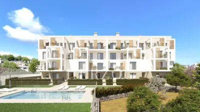 Apartment in Palmanova-Son Caliu photo 15