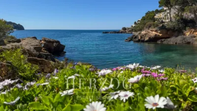Chalet in Costa de la Calma photo 2