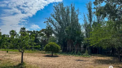 Rustic Finca in Centre photo 10