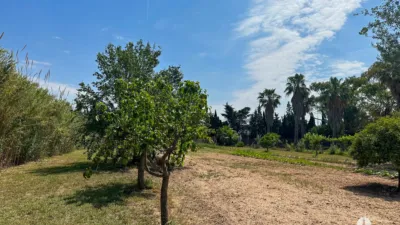 Rustic Finca in Centre photo 11