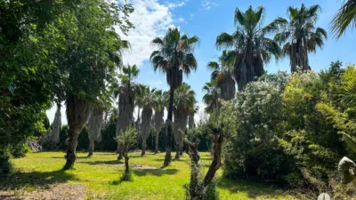 Rustic Finca in Centre photo 12