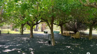 Rustic Finca in Centre photo 16
