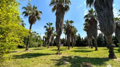 Rustic Finca in Centre photo 18