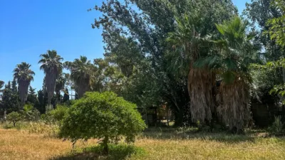 Rustic Finca in Centre photo 2