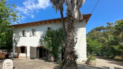 Rustic Finca in Centre photo 5