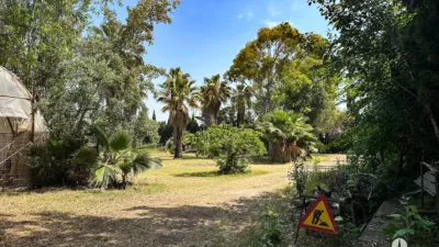 Rustic Finca in Centre photo 7