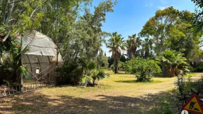Rustic Finca in Centre photo 8