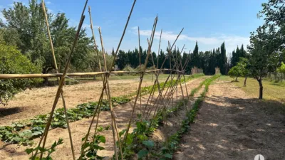 Rustic Finca in Centre photo 9