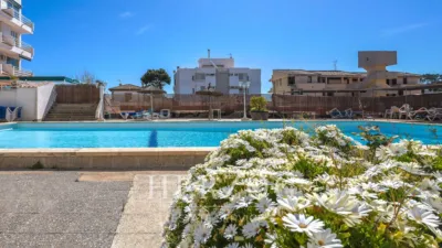 Apartment in Peguera photo 10