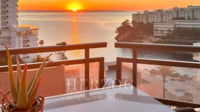 Apartment in Cala Vinyes photo 6