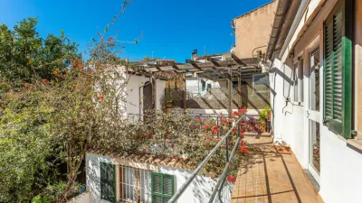 Chalet in Santa Catalina photo 15