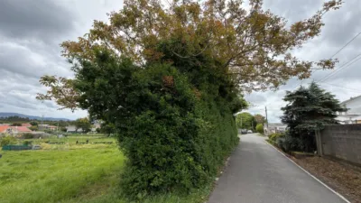 Terreno en venta en Calle Aldea Modia, Número 0 - Vista 5