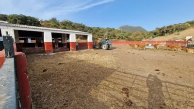 Finca rústica en venta en Olvera, Olvera de 4.850.000 €