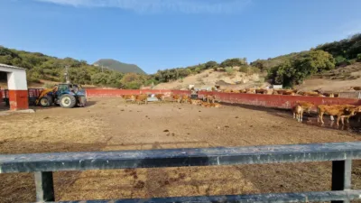 Finca rústica en venta en Olvera, Olvera de 4.850.000 €