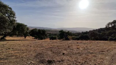 Finca rústica en venta en Olvera, Olvera de 4.850.000 €