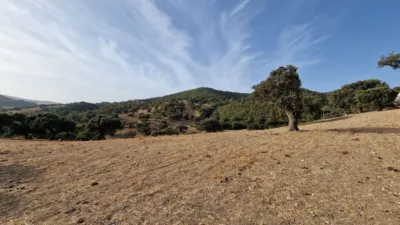 Finca rústica en venta en Olvera, Olvera de 4.850.000 €