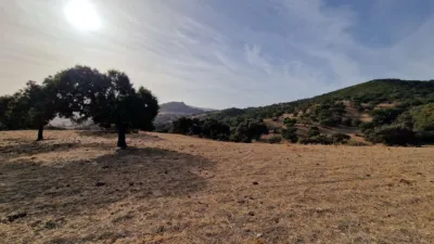 Finca rústica en venta en Olvera, Olvera de 4.850.000 €