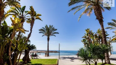 Apartment in Playa del Cura photo 45