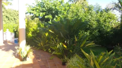Chalet in Manantiales-Cortijos del Sol-Fuensanguínea photo 37