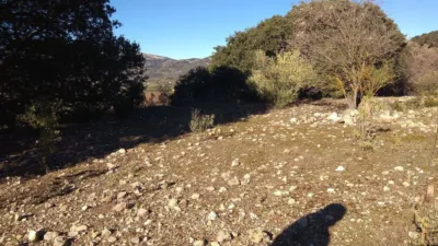 Casa en Alfarnate photo 43