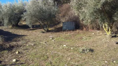 Casa en Alfarnate photo 44