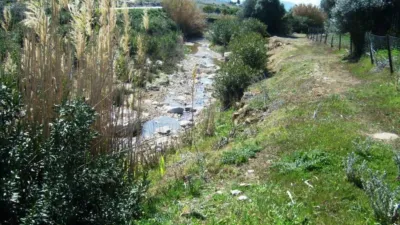 Rustic Finca in Álora photo 16