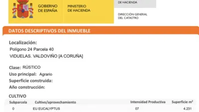 Terreno en venta en Calle Polígono 24 Parcela 40, Número 0 - Vista 5
