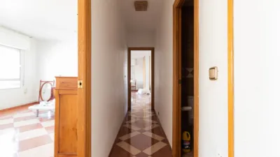 Apartment in Calasparra photo 5