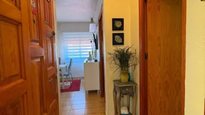 Piso – Torrevieja, Casa Jardin, Urbanización Punta Prima - Vista 5