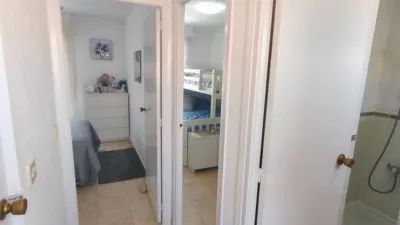 Duplex in La Florida-La Chismosa-Los Altos photo 13