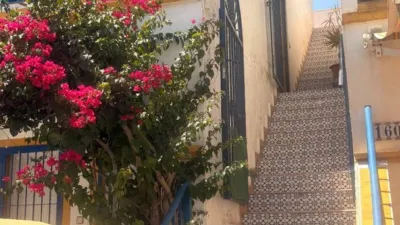 Apartment in Playa Flamenca-Las Piscinas photo 2