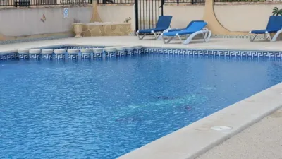 Apartamento en Orihuela Costa photo 32