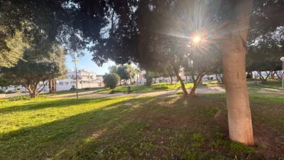 Apartment in Playa Flamenca-Las Piscinas photo 27