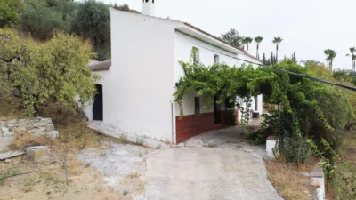 Rustic Finca in Monda photo 4