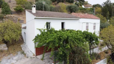Rustic Finca in Monda photo 3