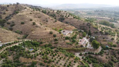 Rustic Finca in Coín photo 44